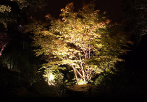 Lampe de jardin à LED