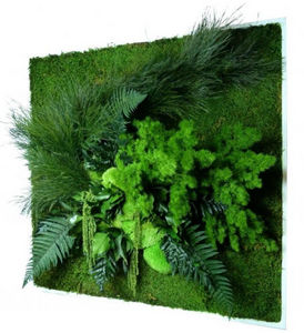 FLOWERBOX - tableau nature carré xl avec plantes stabilisées 8 - Tableau Végétal
