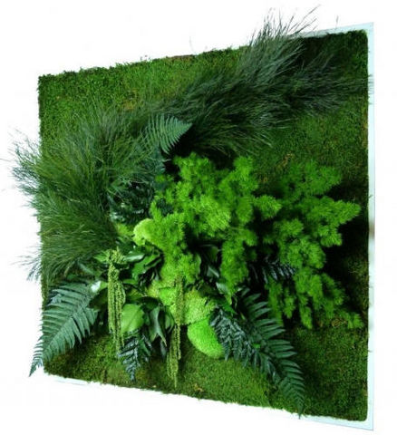 FLOWERBOX - Tableau végétal-FLOWERBOX-Tableau nature carré xl avec plantes stabilisées 8