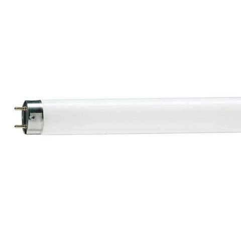 Philips - Tube fluorescent-Philips-Tube fluorescent 1381445