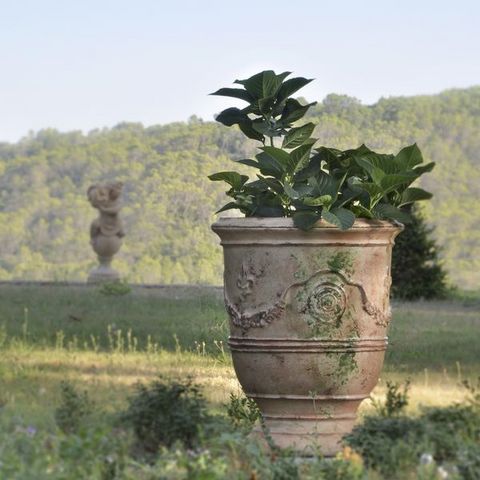 Le Chêne Vert - Vase d'Anduze-Le Chêne Vert-Prestige Antica