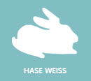 Hase Weiss