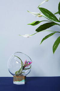 STUDIO YENCHEN YAWEN - orb vase - Flower Vase