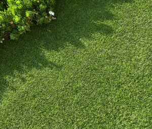 CATRAL France - s20 - Synthetic Grass