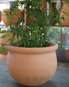 Poterie Ravel - vase jonquille - Garden Pot