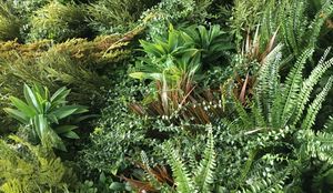 Vegetal  Indoor -  - Artificial Foliage