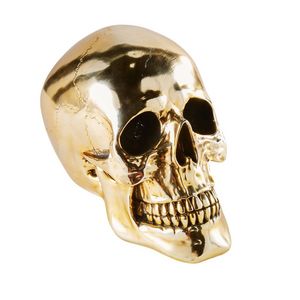 MAISONS DU MONDE - andy - Decorative Skull