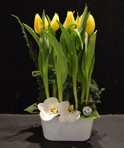 Dolce Terra -  - Flower Bouquet