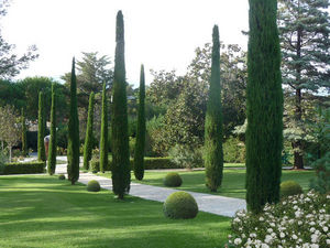 ATELIER NELUMBO -  - Landscaped Garden