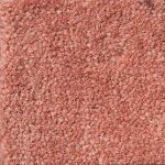 Bronte Carpets - suntan - Fitted Carpet