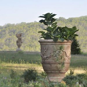Le Chêne Vert - prestige antica - Anduze Vase