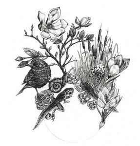 ANNA BOROWSKI - printemps - Pencil Drawing