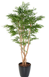 ARTIFICIELFLOWER - acacia - Artificial Tree