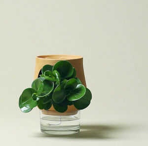 LUO - un ayo - Plant Pot Cover