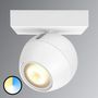 LED bulb-Philips-Spot LED 1381256