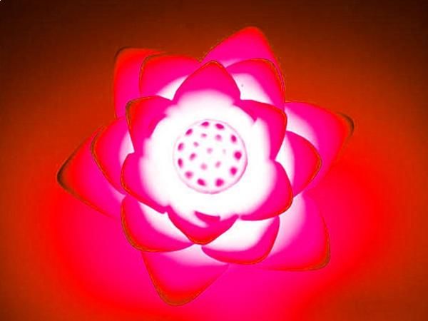 WHITE LABEL - Table lamp-WHITE LABEL-Mini lampe LED 7 couleurs lotus   lumineux lumiere