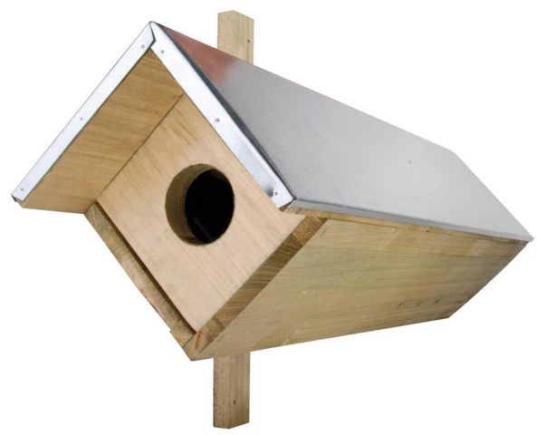 BEST FOR BIRDS - Birdhouse-BEST FOR BIRDS-Nichoir pour chouette chevêche