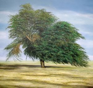 MANUEL CANCEL - qatar's tree - Zeitgenössische Gemälde