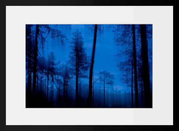 PHOTOBAY - Fotografie-PHOTOBAY-Forêt bleue