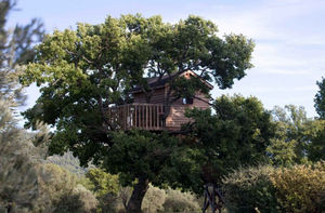 La Cabane Perchee - cabane et le petit chêne - Cabaña En Árboles