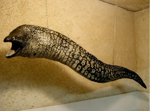 cap vert - murene 120cm - Escultura De Animal