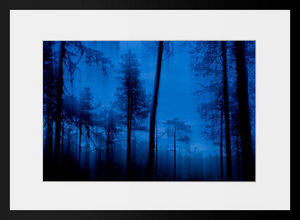 PHOTOBAY - forêt bleue - Fotografia
