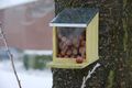 Mangiatoio per scoiattoli-BEST FOR BIRDS-Mangeoire en Bois et Zinc pour Ecureuils