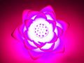 Lampada da tavolo-WHITE LABEL-Mini lampe LED 7 couleurs lotus   lumineux lumiere