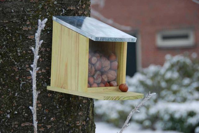 BEST FOR BIRDS - Mangiatoio per scoiattoli-BEST FOR BIRDS-Mangeoire en Bois et Zinc pour Ecureuils